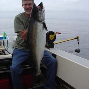 Nice Chinook