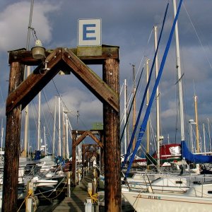 Friday Harbor Crowd