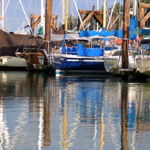 Friday Harbor Natives