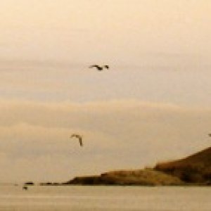 Farewell, San Juan Islands
