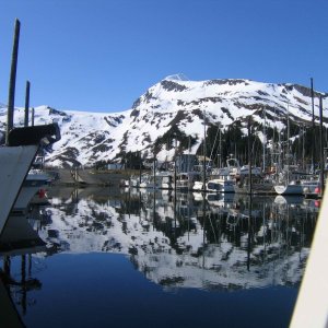 Whittier Dock - Minus Tide - High and Dry - Awesome!