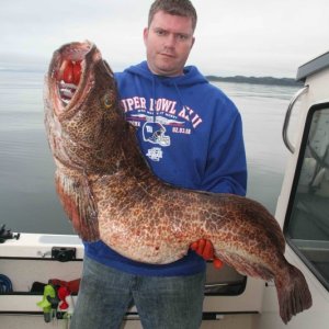 Ling Cod 7-4-08