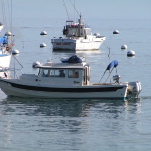 Another C-Dory comes in