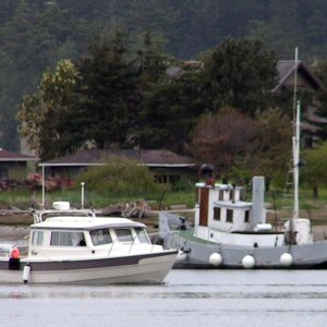 (Pat Anderson) - Anita Marie Arriving