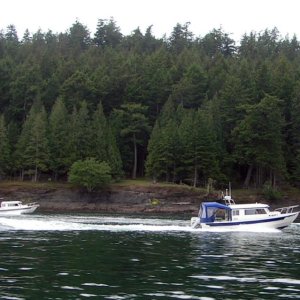 (Pat Anderson) - Knotty-C and Bess-C