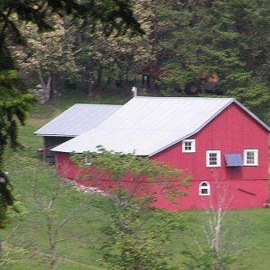 (Pat Anderson) - Landscape Study on Hike to Turn Point, Stuart Island