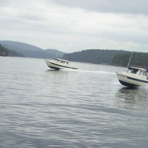 (Anna Leigh) Rock C and Bambina heading towards Stewart Is.