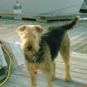 (Ruth & Joe) Winston (C-Puffin)