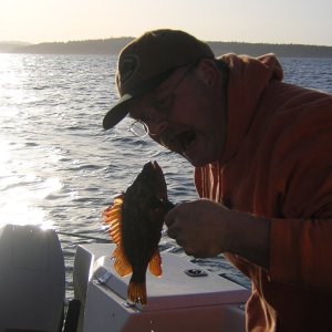 (Jeff and Diane) Paul\'s Fish