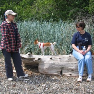 (Knotty C) Taking a break on Stuart Is.