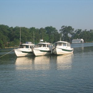 Halcyon/Wanderer/Otter