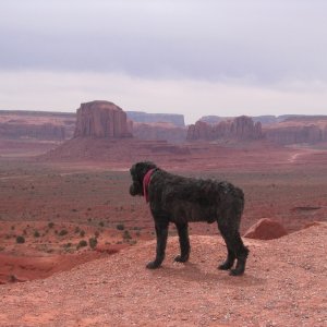 Bowie at The Valley of the Gods