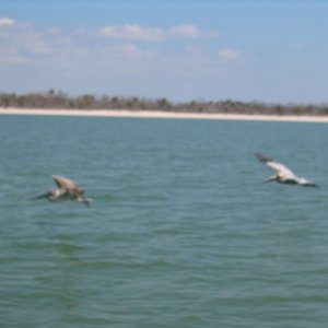 Everglades National Park