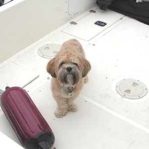 (Pat Anderson) - Oscar in the Cockpit