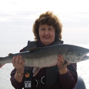Lori's first salmon!