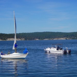 Sequim Bay is home to a mixture of craft.