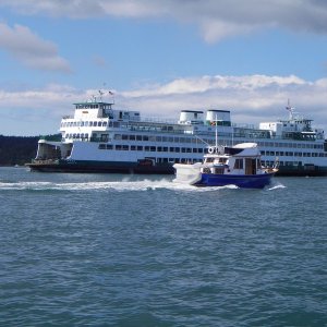 First close proximity ferry encounter, Friday Harbor.