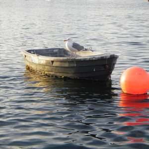 Multi-purpose, and not exactly over used.  Might just be on a long cruise;-)