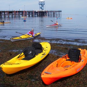 Paddle Days at Hollywood Beach,Port Anglels.