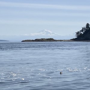 May - Waldron Island - Mt. Baker