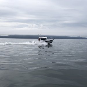 May - PanACya - 23 Venture