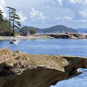 Sept - Active Cove, Patos Island