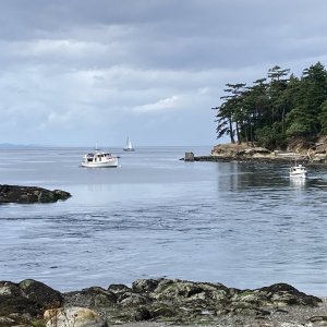 Sept- Active Cove, Patos Island