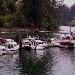 C-Dorys at Jarrell Cove Dock