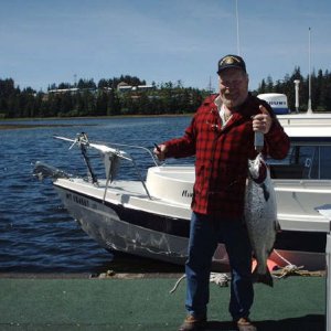 King salmon