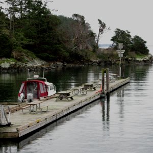 Daydream Alone on the Dock at Fossil Bay 1-15-11