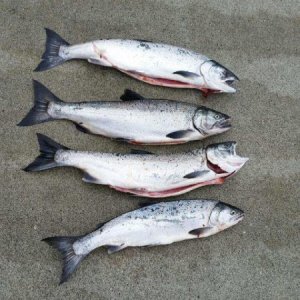 A good day!  4 for 4 with 1 double.