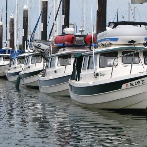 #3 Bellingham Line of C-D\'s July 09 From 09 CD calander.  Front of the line, Bill & El's "Halcyon".  Halcyon up for sale Apr 2012.