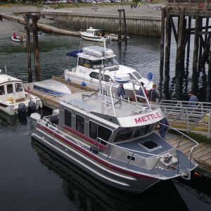 Sharing  space at the Marine Science Center, Port Townsend, with a really nice Armstrong cat with an obvious name are SleepyC and PlanC readying for the PT Rowing Club races.
