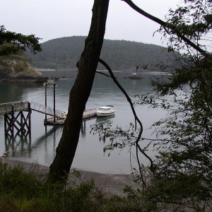 (WadeV) Sharps Cove