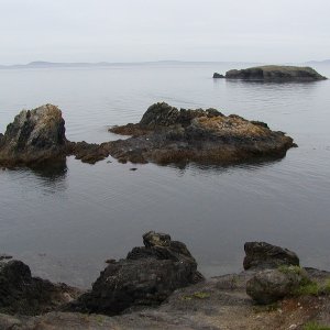 (WadeV) Sharps Cove