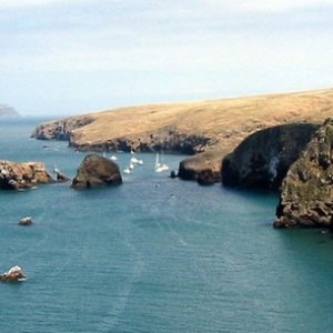 (Islander) Santa Cruz Island looking east to Anacapa
