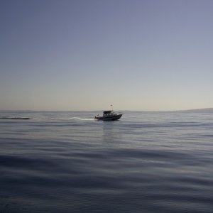 32 mile crossing,  Marina Del Rey to Isthmus Harbor, smooth as glass.