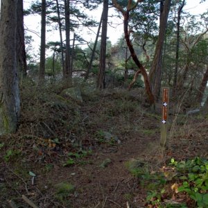 Trail to Wiggins Point
