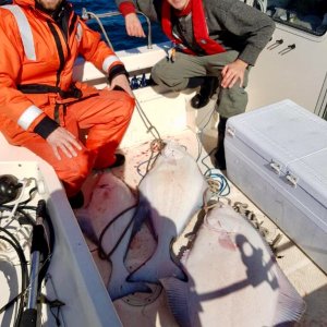 First Fish on the boat 49,33 and 15