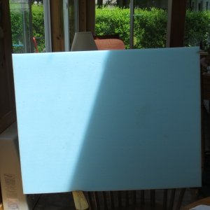 replacement foam