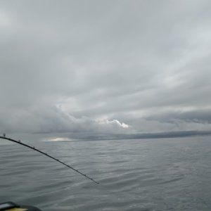 Smooth seas 10 miles offshore at Nootka