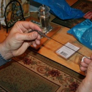fall 2007 20071120 0119