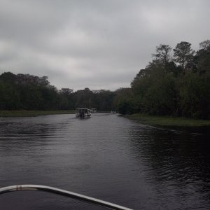 Media 'C Dory train on the St Johns river' in album '"Blues Cruiser" Pounce Inlet, FL'