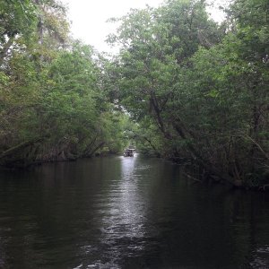 Media 'cruising the cut' in album '"Blues Cruiser" Pounce Inlet, FL'