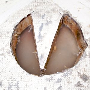 Water in aft inspection hole