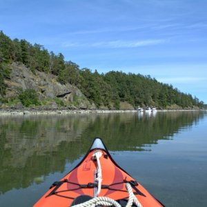 Paddling around Reid Harbor