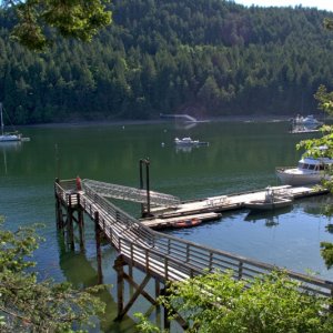 Reid harbor on afternoon of May 9th.