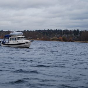DSC 0006