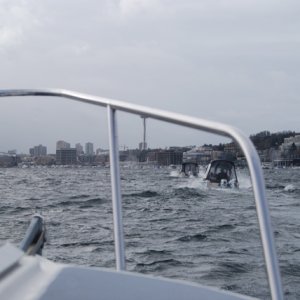 DSC 0007