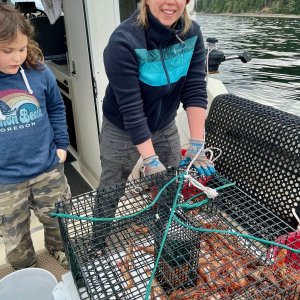 Hood Canal Spot Shrimp